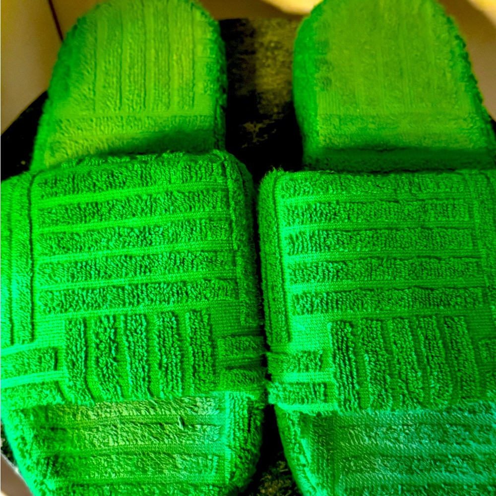 Bottega Veneta slides in the color green.